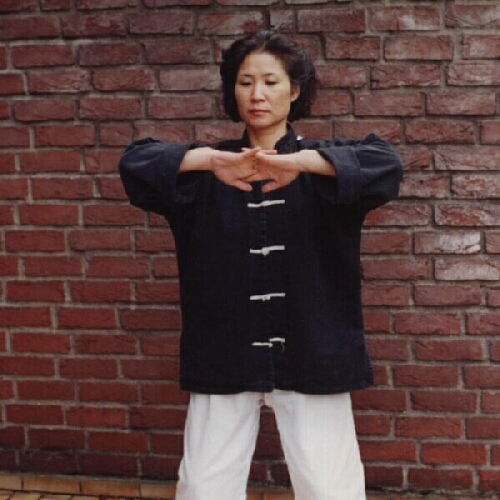 Qigong, auch Daoyin genannt, Atemschule und Heilgymnastik, Energiearbeit und Meditation - Übungen zur Pflege der persönlichen Mitte  und Entwicklung innerer Kraft