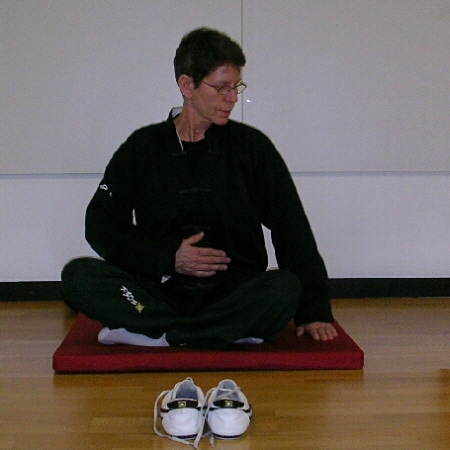 Tao-Chi Kung  Atem- und Bewegungs-bungen im Einklang mit den Jahreszeiten, nach den Methoden der Kalender-Schule [links] und der Fnf-Elemente-Schule [rechts]